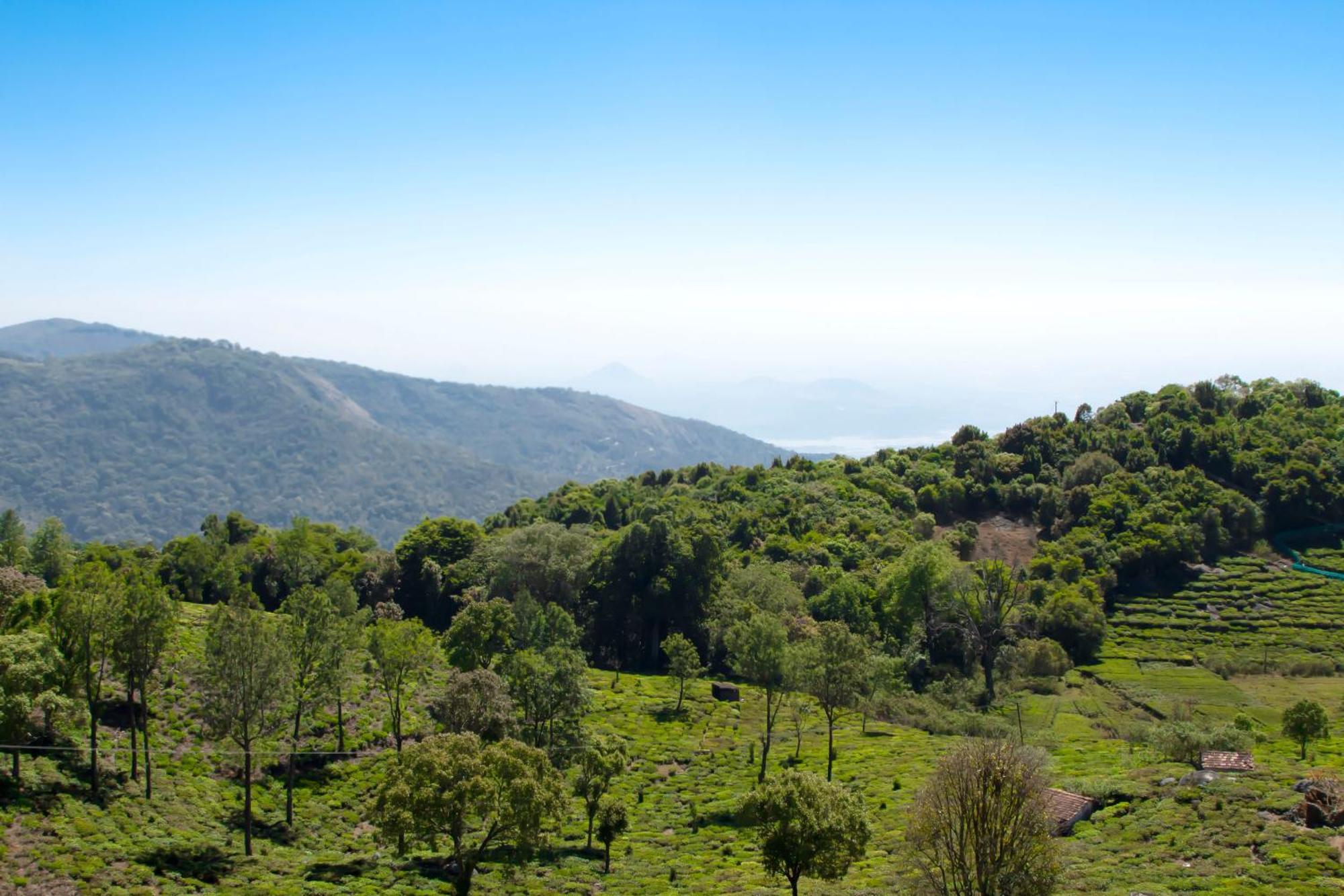 The Royale Ridge Otel Kotagiri Dış mekan fotoğraf